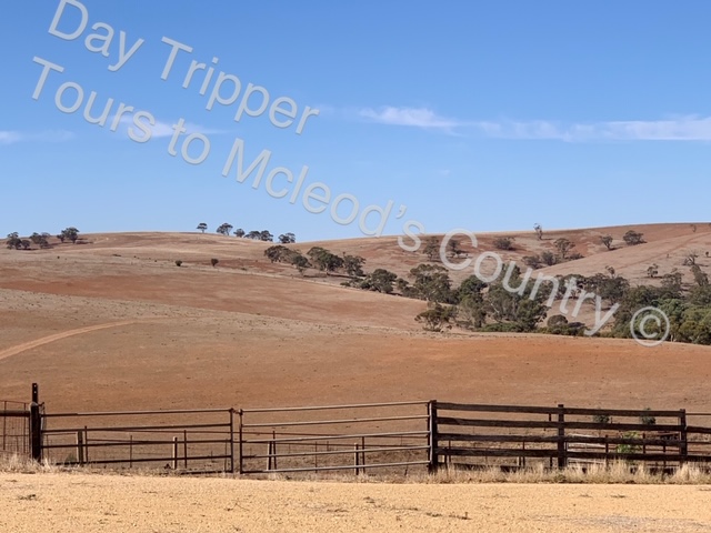 day tripper tours to mcleod's country saint agnes reviews